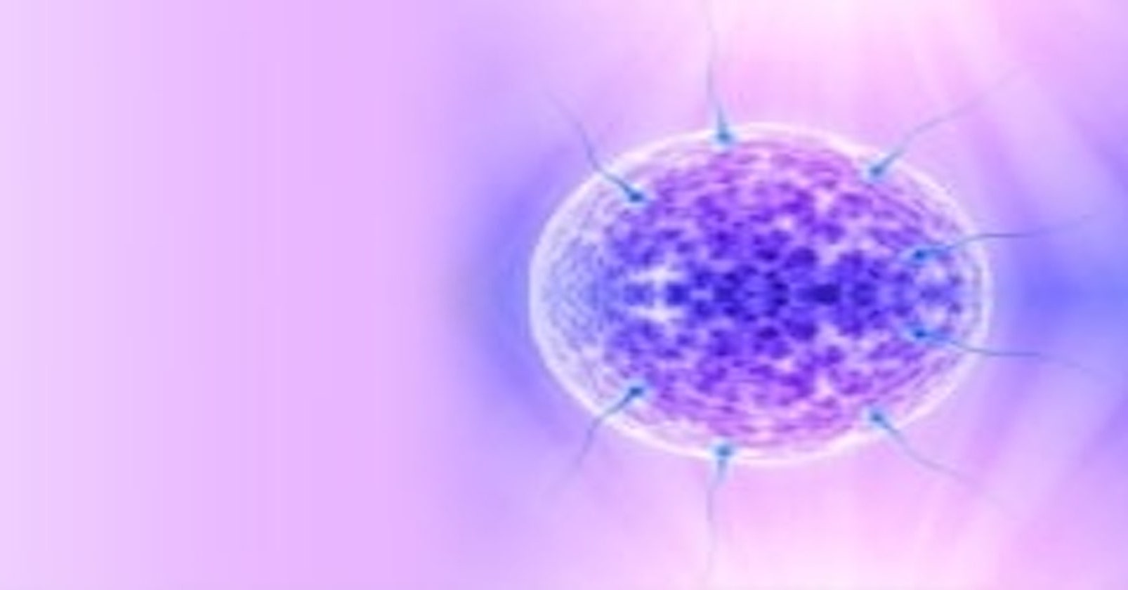 Myths about getting pregnant
